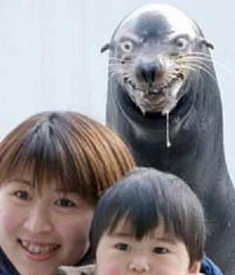 Forum Image: http://i219.photobucket.com/albums/cc33/YORKvsNARUTO/wtf.jpg