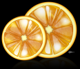 oranges2.png