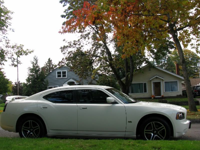 2008 dodge store charger antenna