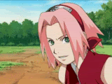 sakura shippuden