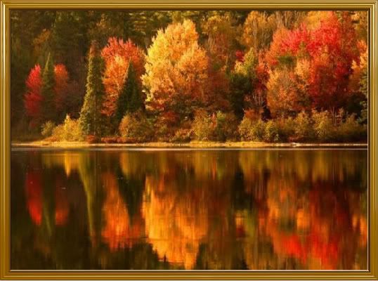 The Beauty Of Autumn Pictures, Images and Photos