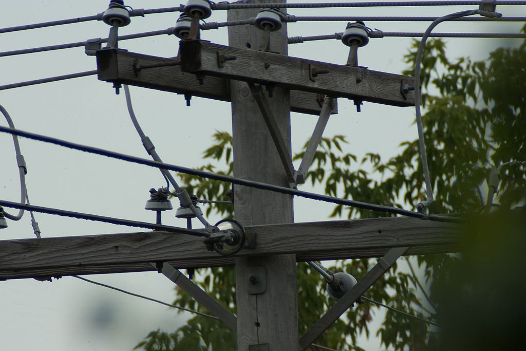 IMAGE: http://i219.photobucket.com/albums/cc54/biffbradford/powerpole.jpg