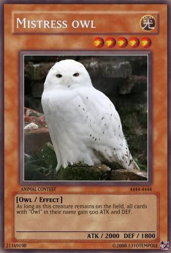 Owlcard.jpg