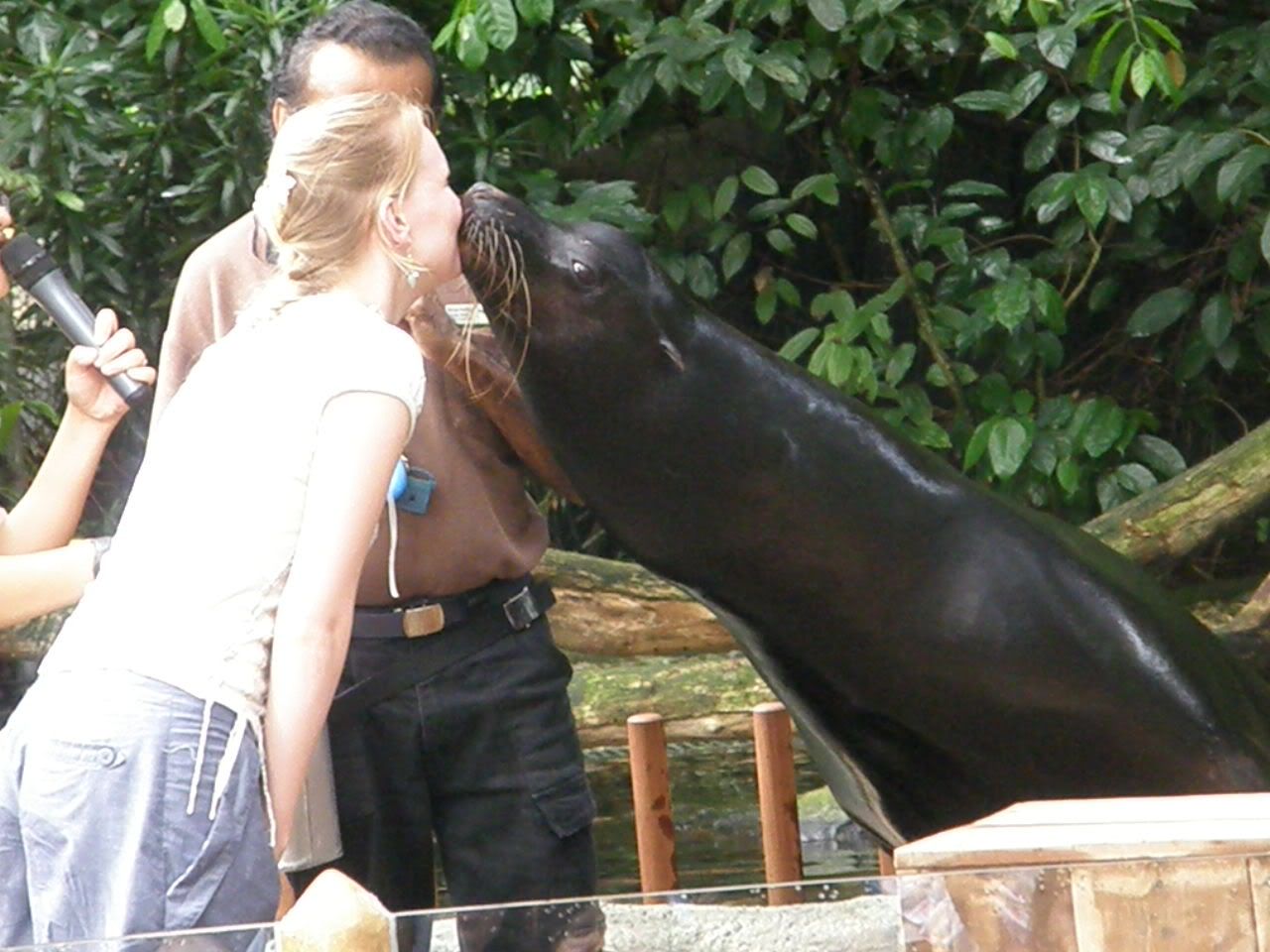 smooches~
