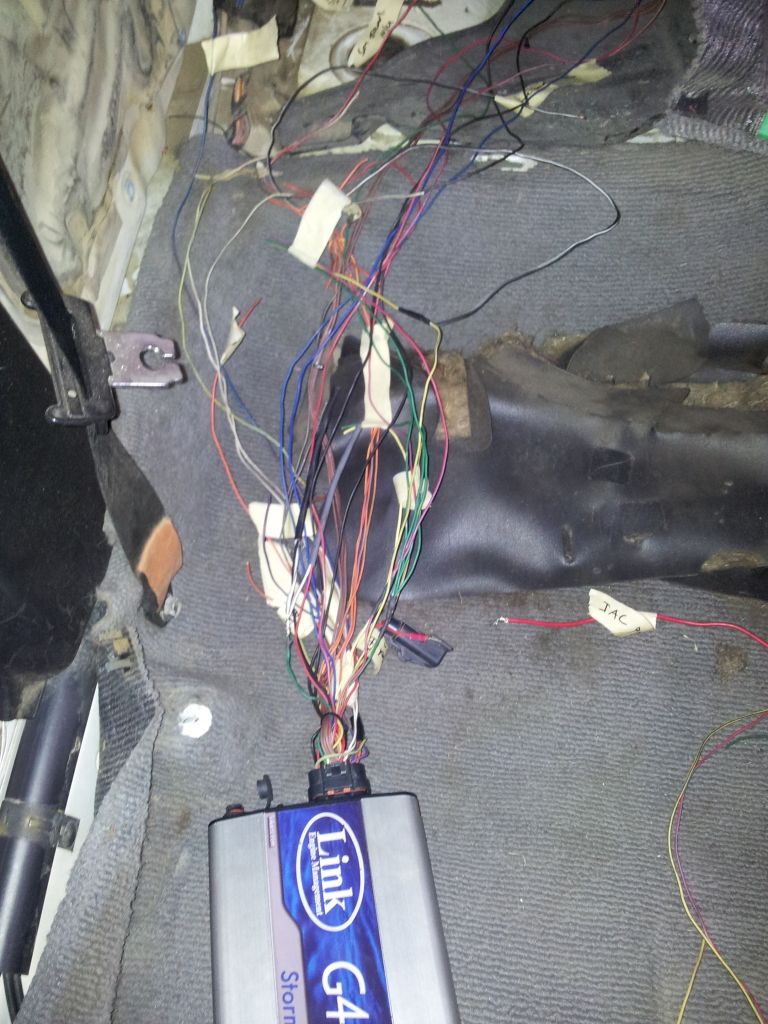 Posted Image