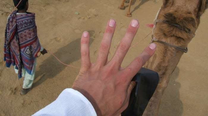 Photo Sharing and Video Hosting at Photobucket