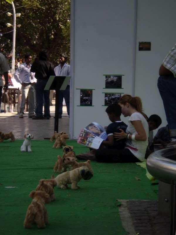 Photo Sharing and Video Hosting at Photobucket