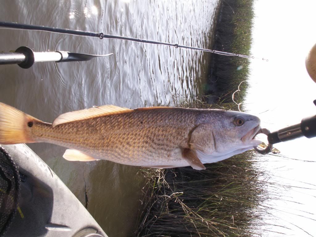 rgv fishing gear