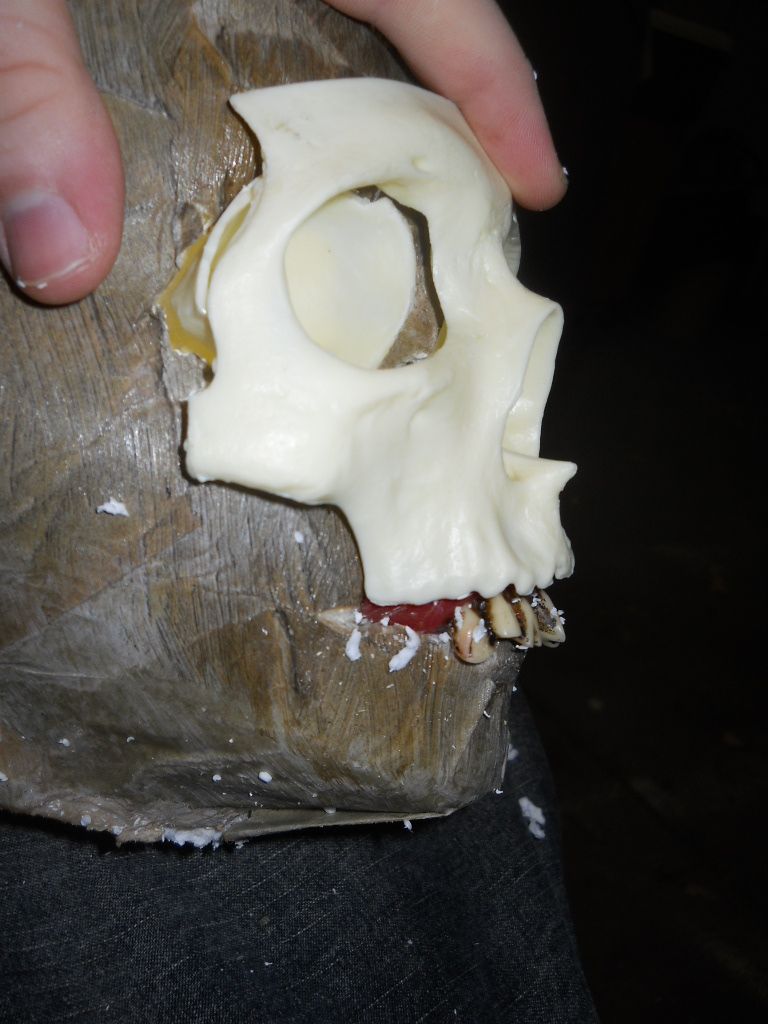 DSCN3628.jpg