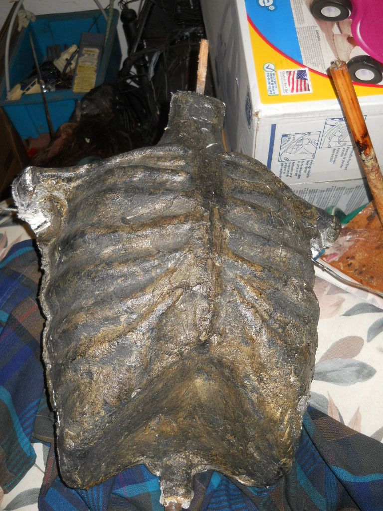 DSCN3631.jpg