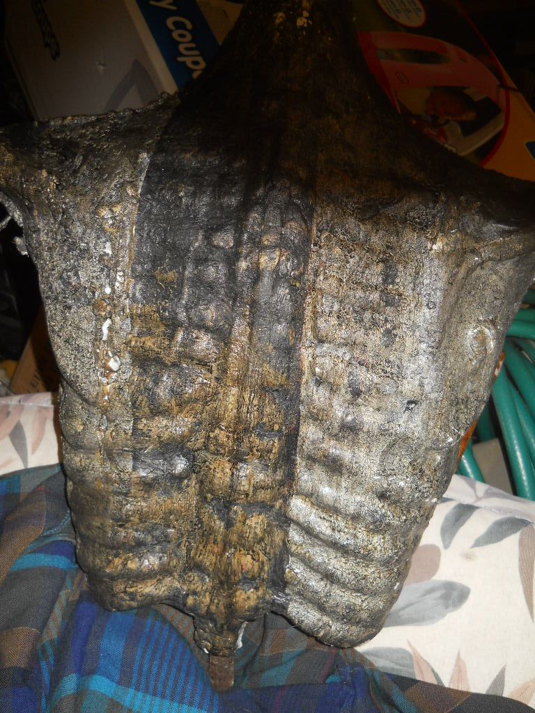 DSCN3633.jpg