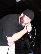 Avester