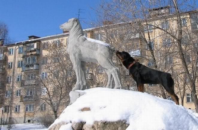 dog-sniff2_small.jpg