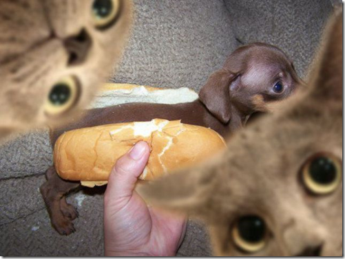 image36.png