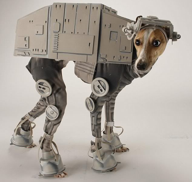 imagesat-at-dog-costume.jpg