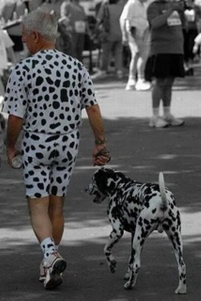 imagesdalmatians.jpg