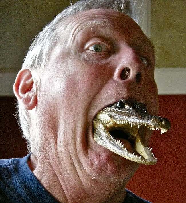 imagesgrandpa-and-the-gator_small.jpg
