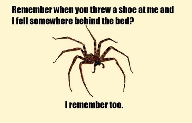 imagesspider-remembers_small.jpg