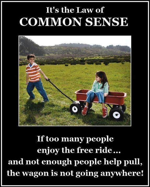 law_of_common_sense_free_ride.jpg