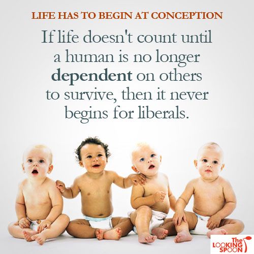 life_never_begins_for_liberals.jpg