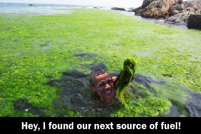 obama_algae.jpg