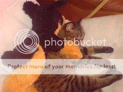 Photobucket