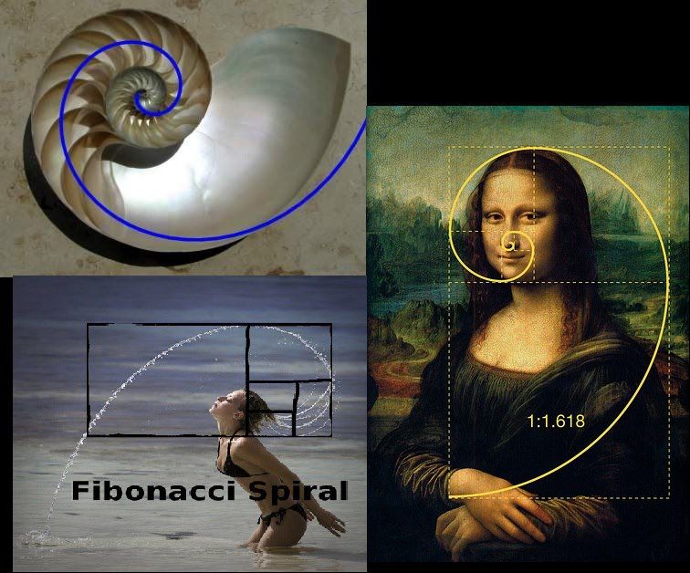 Спираль фибоначчи в фотографии как использовать