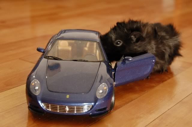 babyisaaccar.jpg